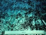 Distressed Velvet Spandex Foil Irid Emerald Green/ Black #8 — spandex fabric by the yard | Stretch House