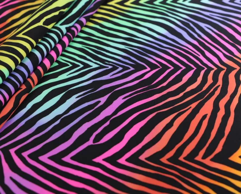 IMG_5218 Rainbow zebra print
